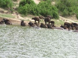 Boat Cruise Kazinga Channel 